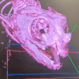 3D Scan